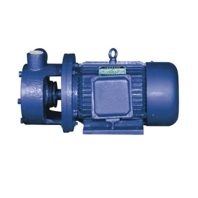 1W型单极旋涡泵